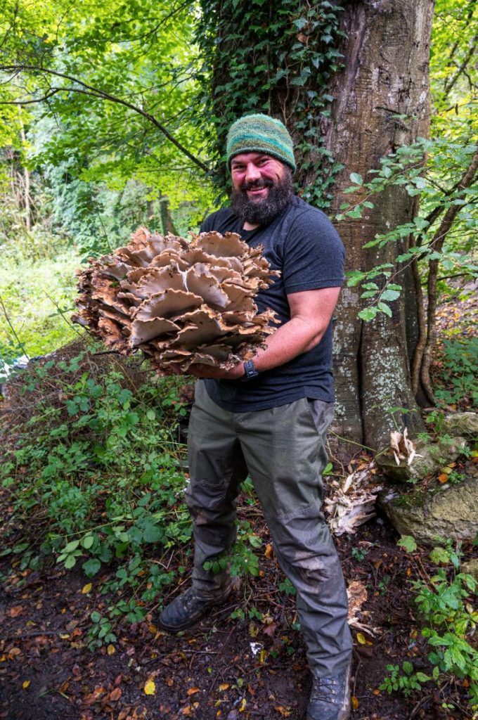 Author holding Grifola frondosa - aka Hen-of-The-Woods
