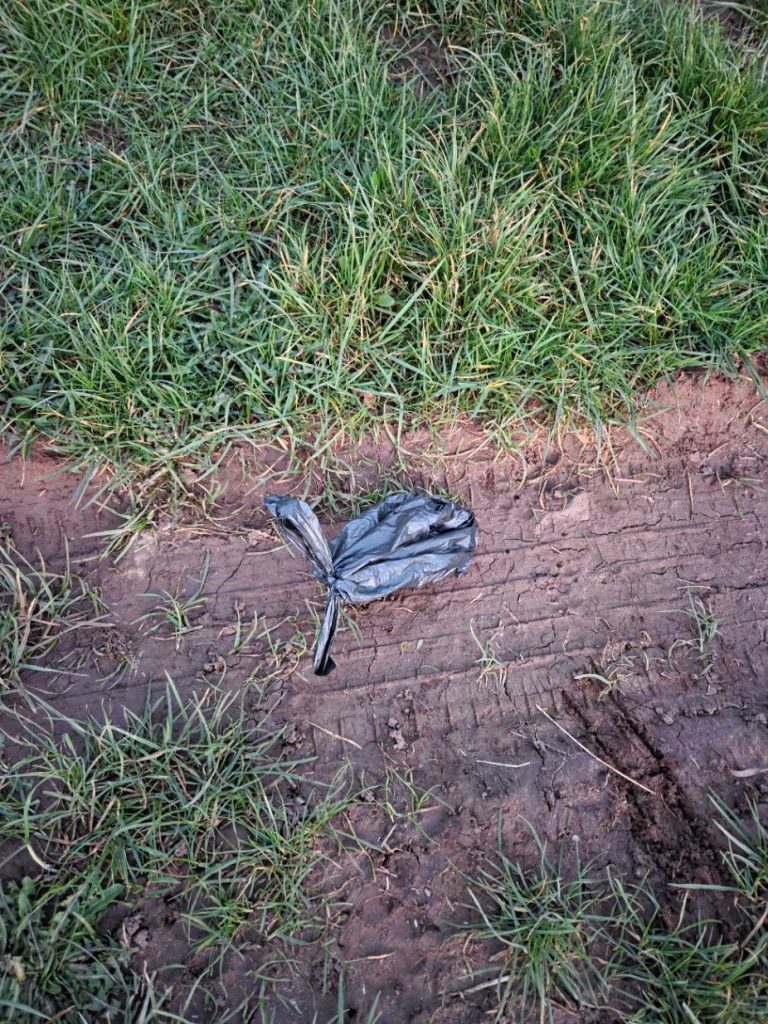 The little black bag of brushcutters surprise. They explode.
