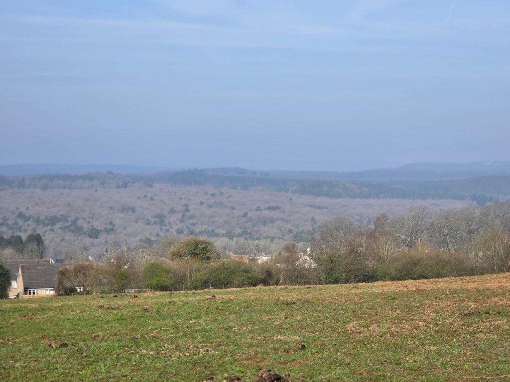 The Forest of Dean. 27,000ha of open access woodland to get your nature fix.